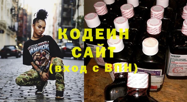 хмурый Алексин