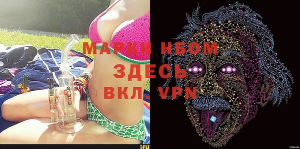хмурый Алексин