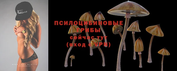 хмурый Алексин