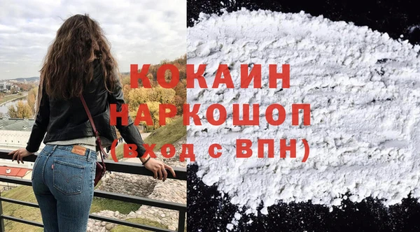 хмурый Алексин