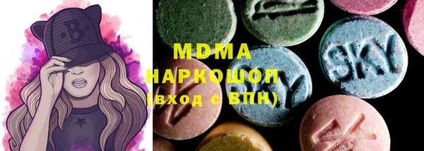 хмурый Алексин