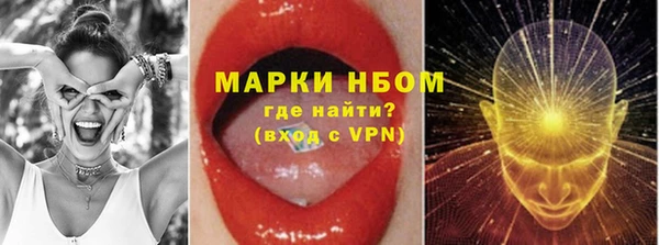 хмурый Алексин