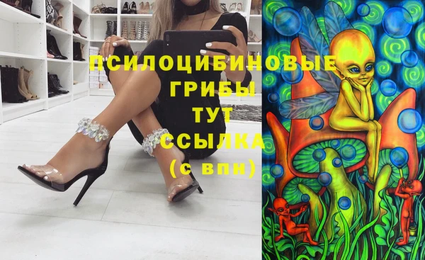 мяу мяу мука Алзамай