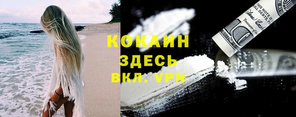 хмурый Алексин